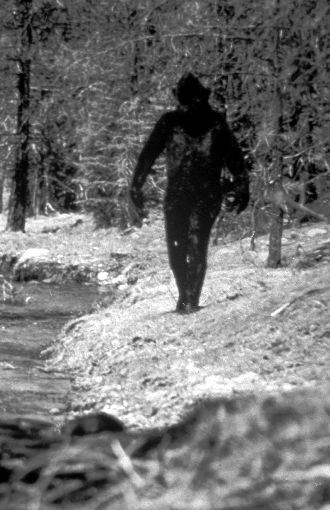 Bigfoot fotograferad av Ivan Marx. Det avslöjades senare att det var Ray L. Wallace som klätt ut sig.