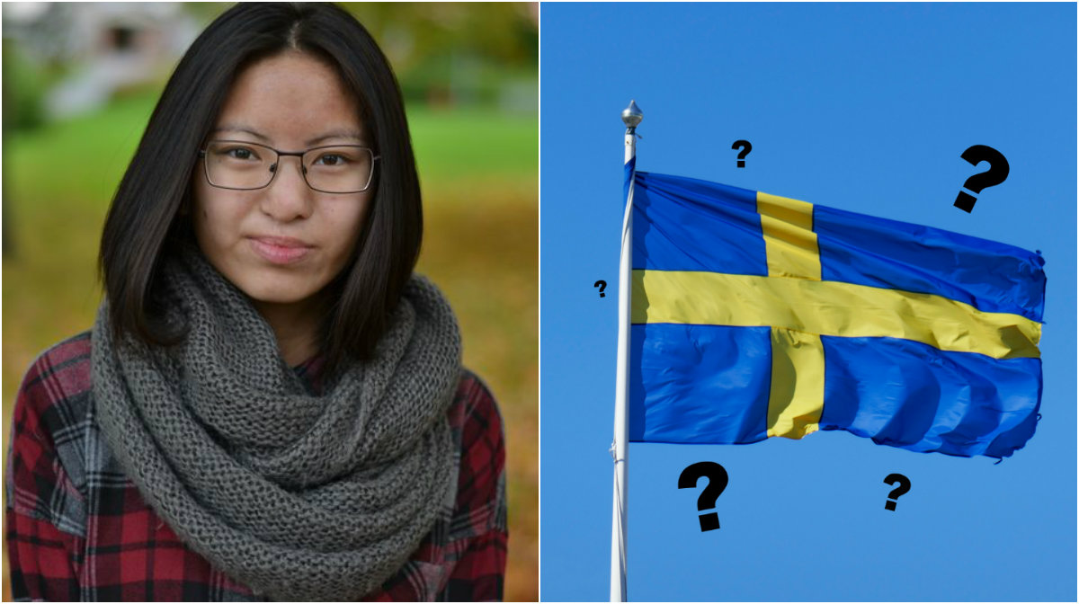 Asien, Sverige, Hanna Larsson, Debatt, Adoption