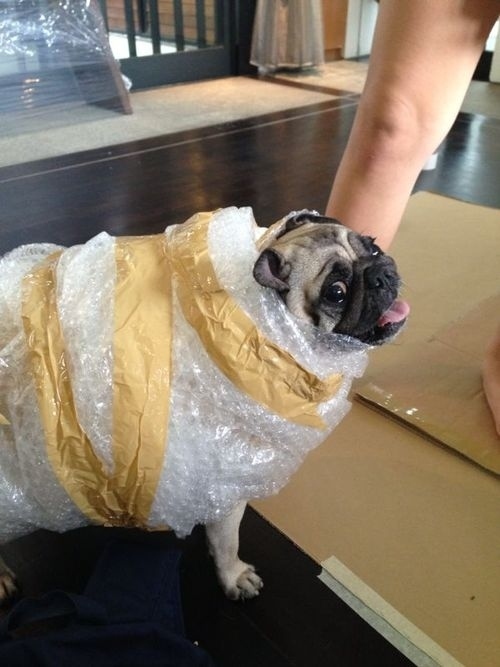 Inlindad i bubbelplast. Inlindad i bubbelplast.