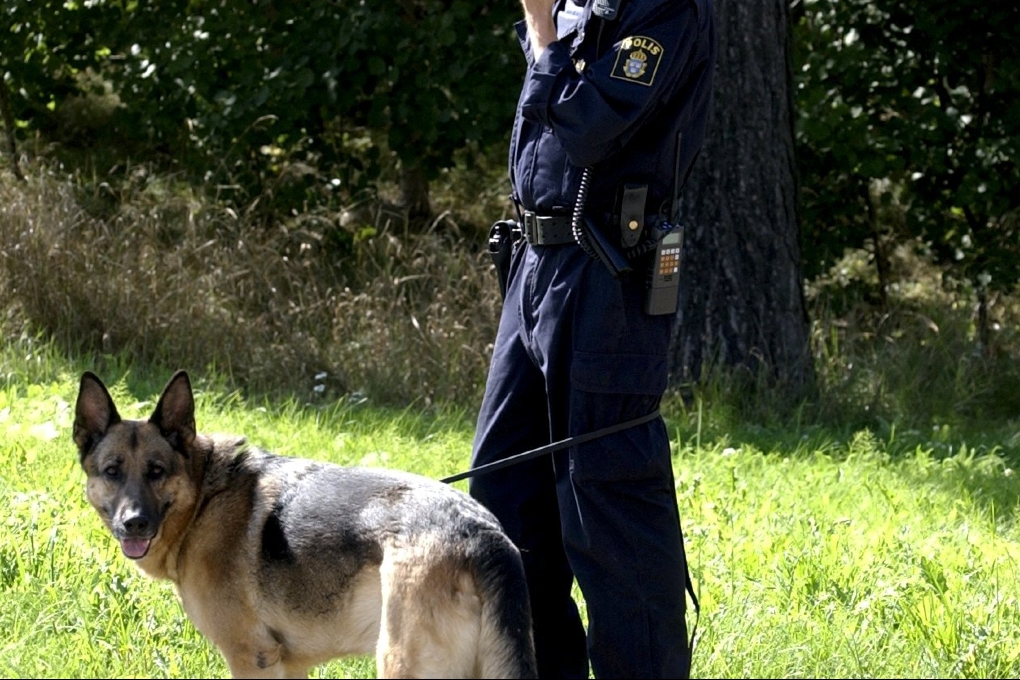Hunden och polismannen på bilden har inget samband med artikeln.