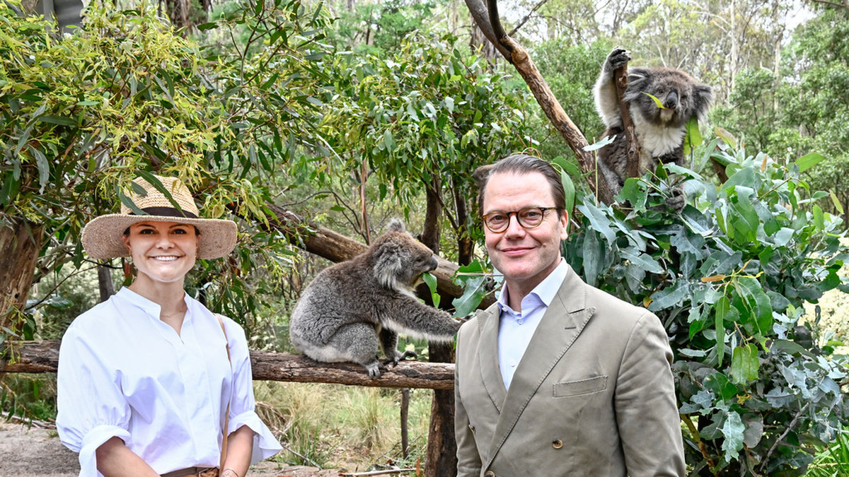 Kronprinsessan Victoria och prins Daniel inledde på måndagen det officiella besöket i Australien och besökte ett rehabiliteringscenter för koalor i nationalparken Namadgi i Canberra.