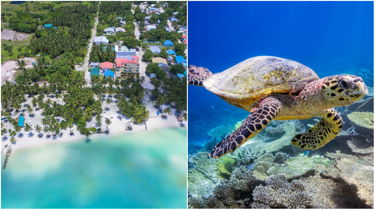Maldiverna Laamu Maldiverna Laamu