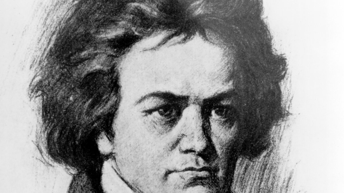 Är du ett riktigt geni? Då gillar du förmodligen Beethoven. 