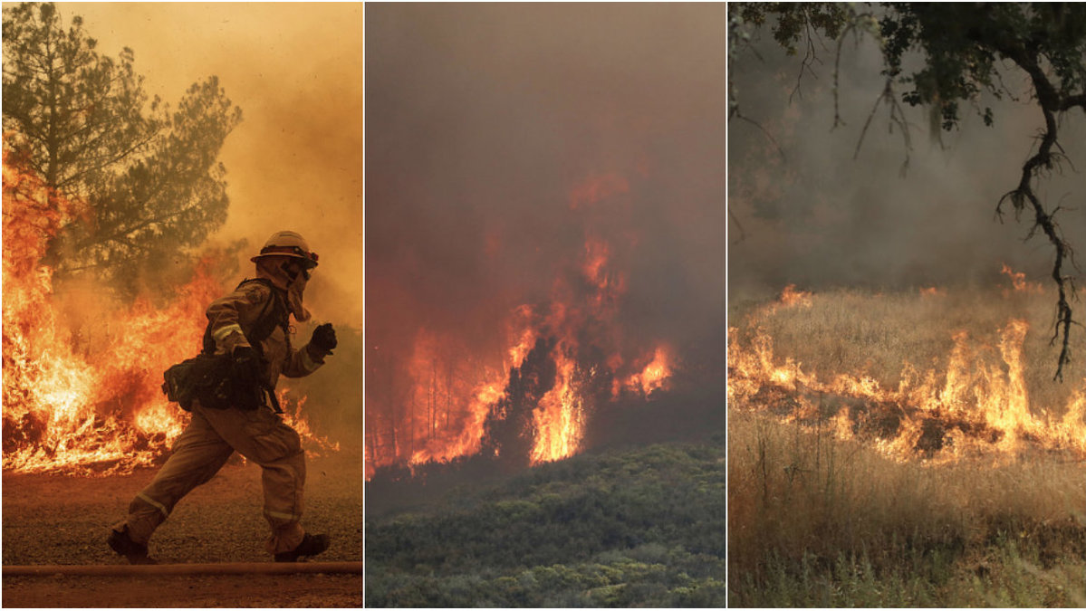 Branden härjar i norra Kalifornien