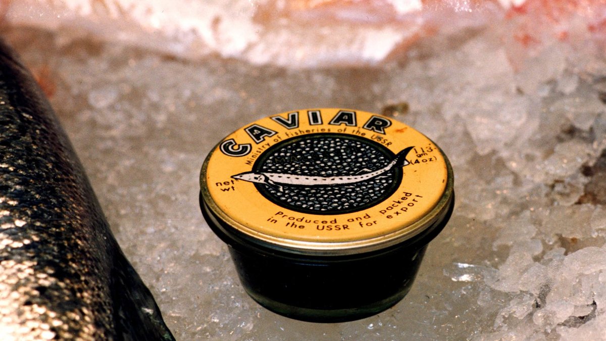 En svensk kan vinna 2,1 miljarder kronor. Vad skulle du köpa för pengarna? Rysk kaviar?