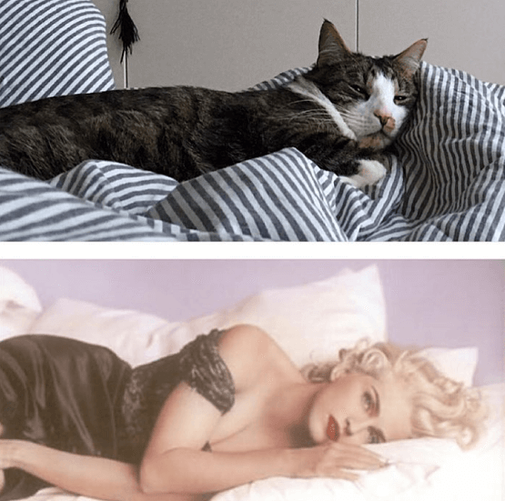 Madonna igen. Madonna igen.