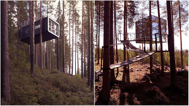 Trädkoja övernattning Trädkoja övernattning