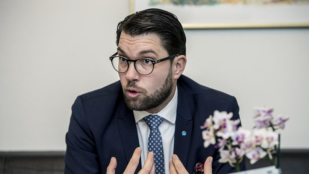 Jimmie Åkesson, partiledare Sverigedemokraterna.