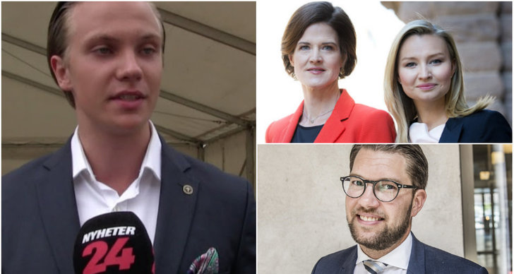 Moderaterna, Kristdemokraterna, ungsvenskar, SDU, Sverigedemokraterna