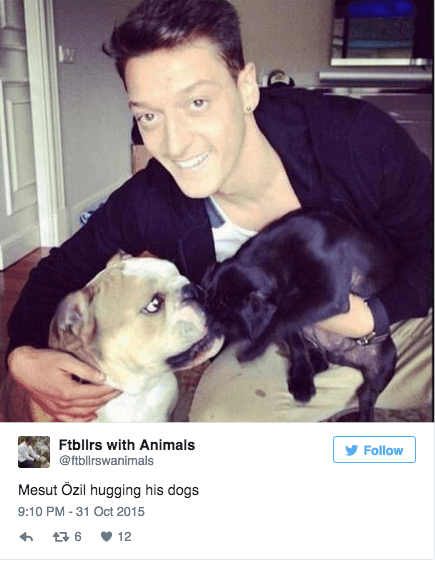Mesut Özil kramar sina hundar. 