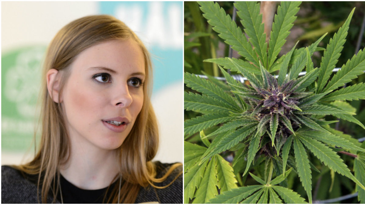 Hanna Wagenius (C) vill se systembolag för cannabis. 