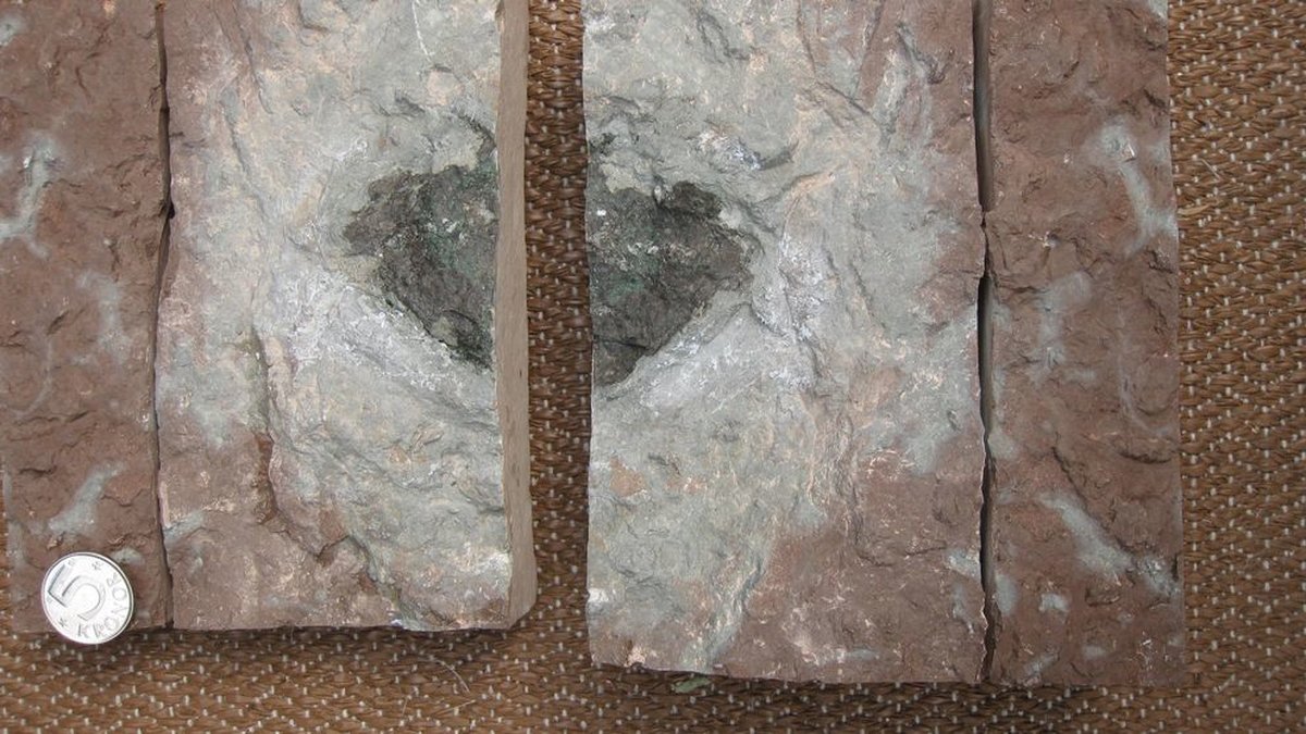 Meteoriten är världens första utdöda meteorit.