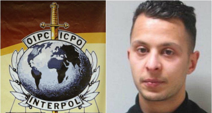 Salah Abdeslam, Svenska pass, Interpol