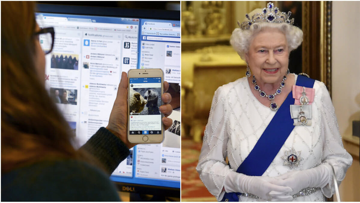 Drottningen av England söker någon som kan sköta hennes sociala medier. 