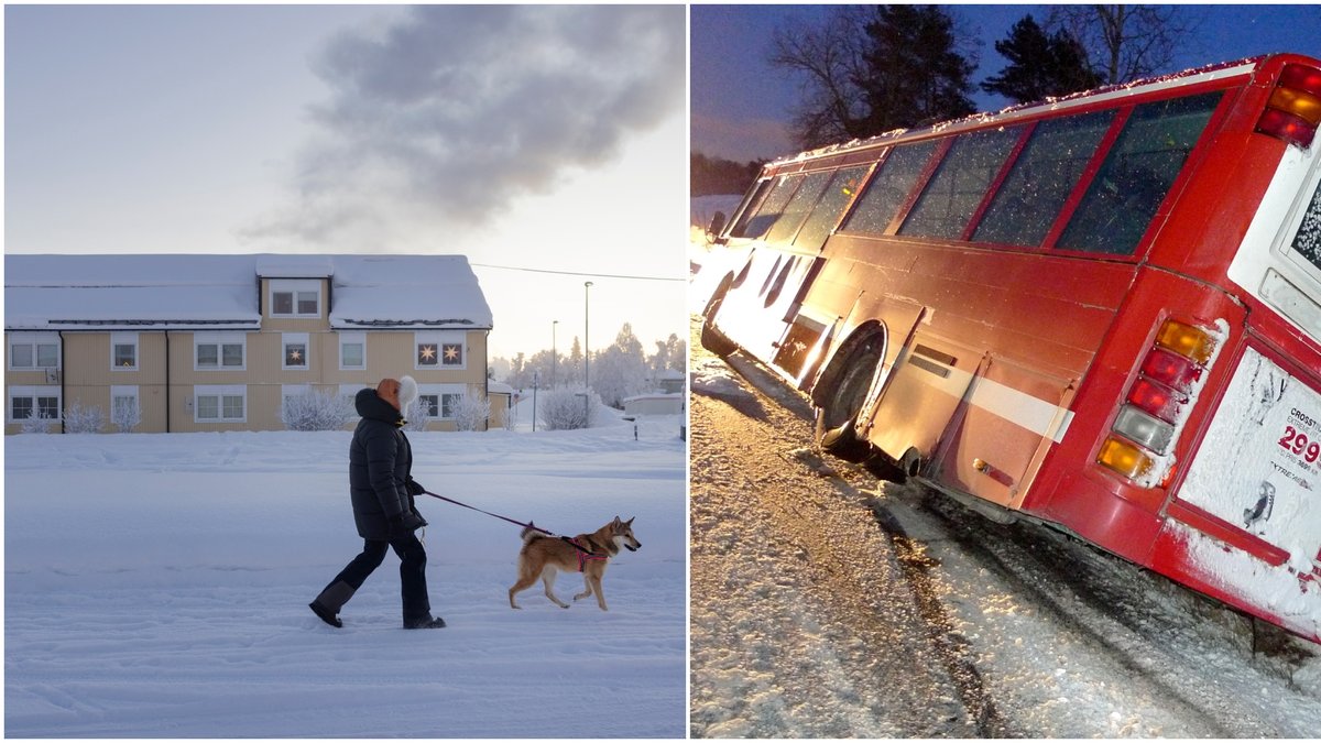 Kyla med -39 grader under morgonen i byn Vittangi i Kiruna kommun, 7,5 mils bilväg sydöst om Kiruna. Johanna Henriksson med hunden Tikka.