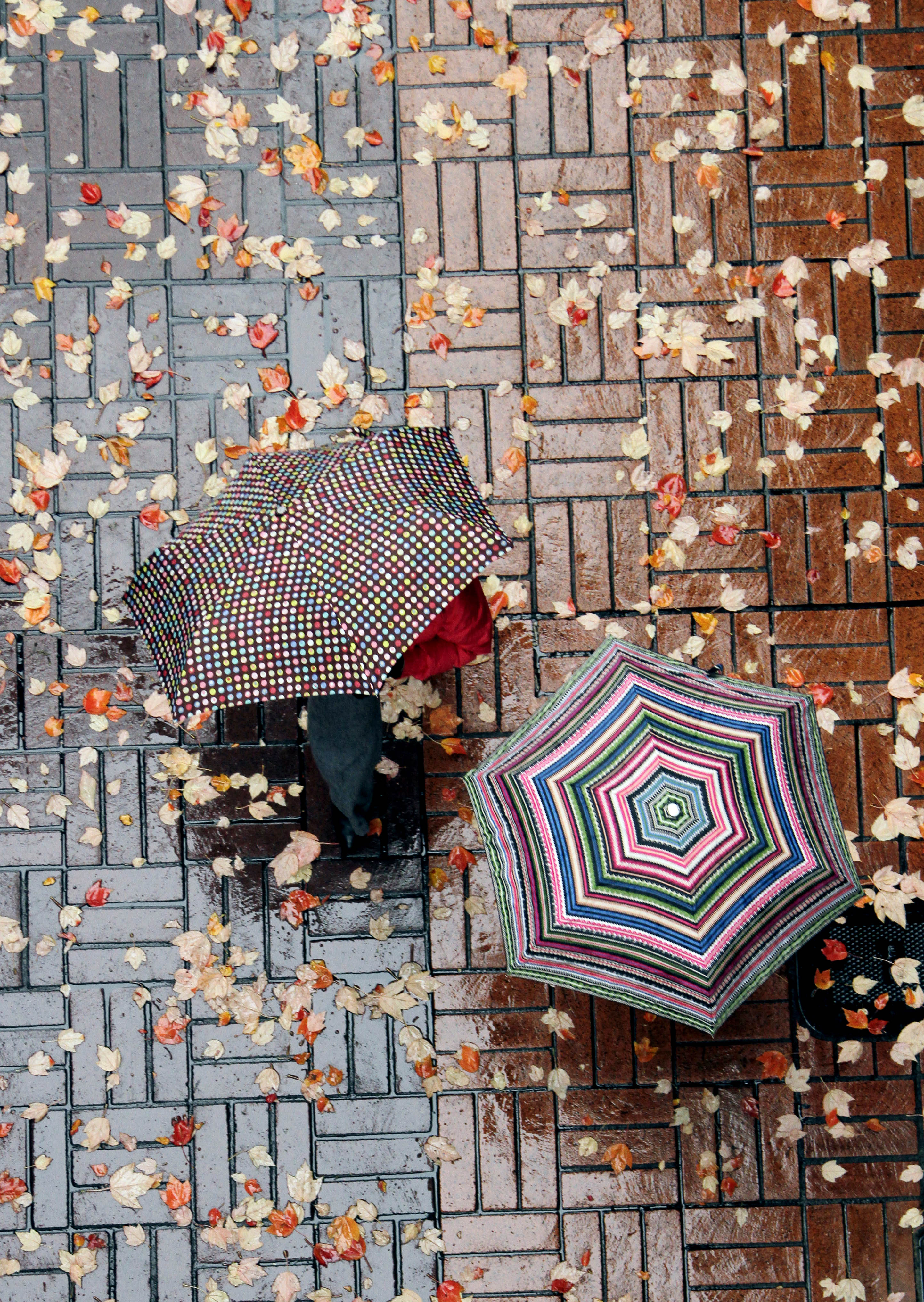 Regn är mys när man har ett stort paraply. Regn är mys när man har ett stort paraply.