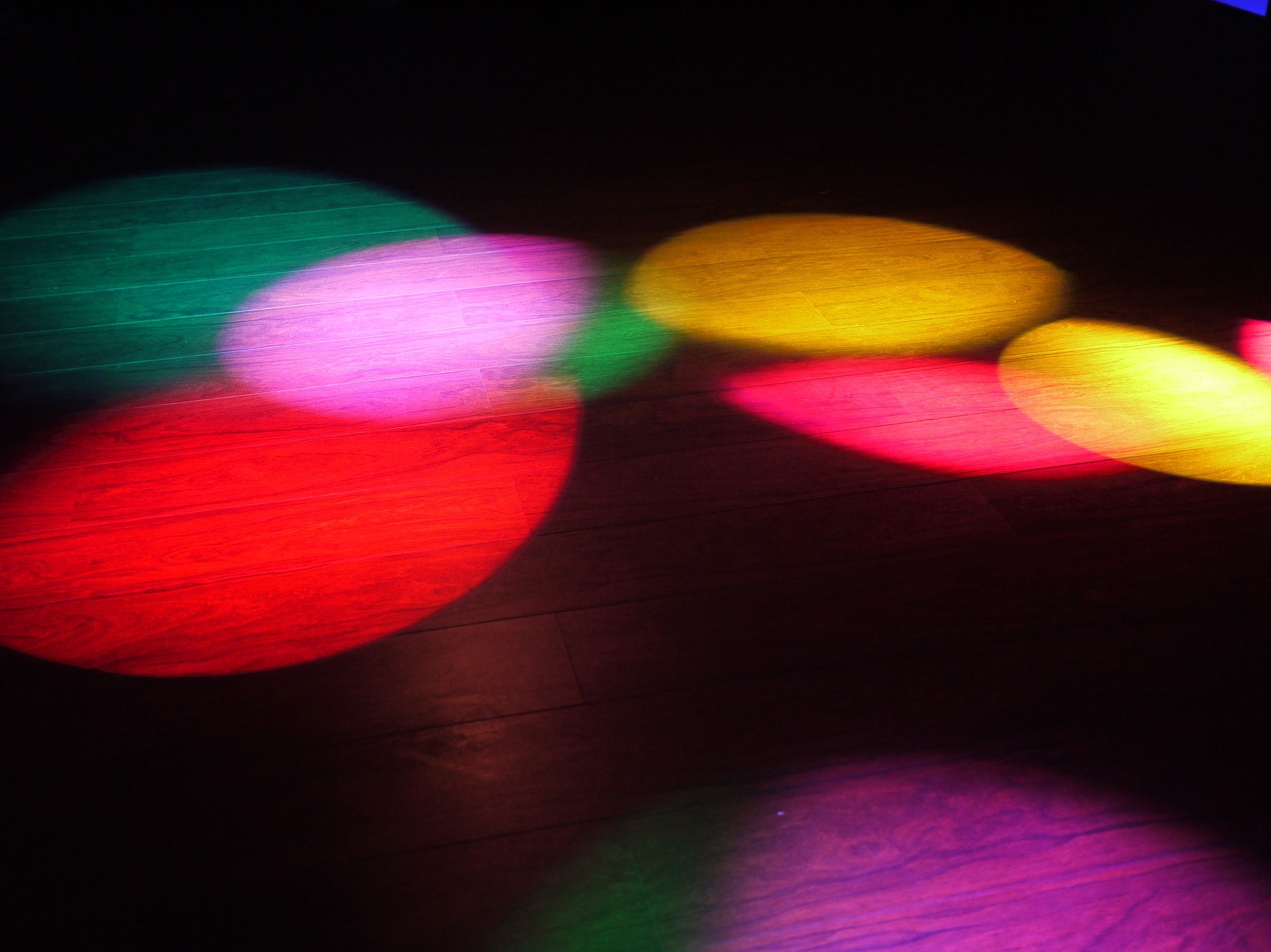 Disco Disco