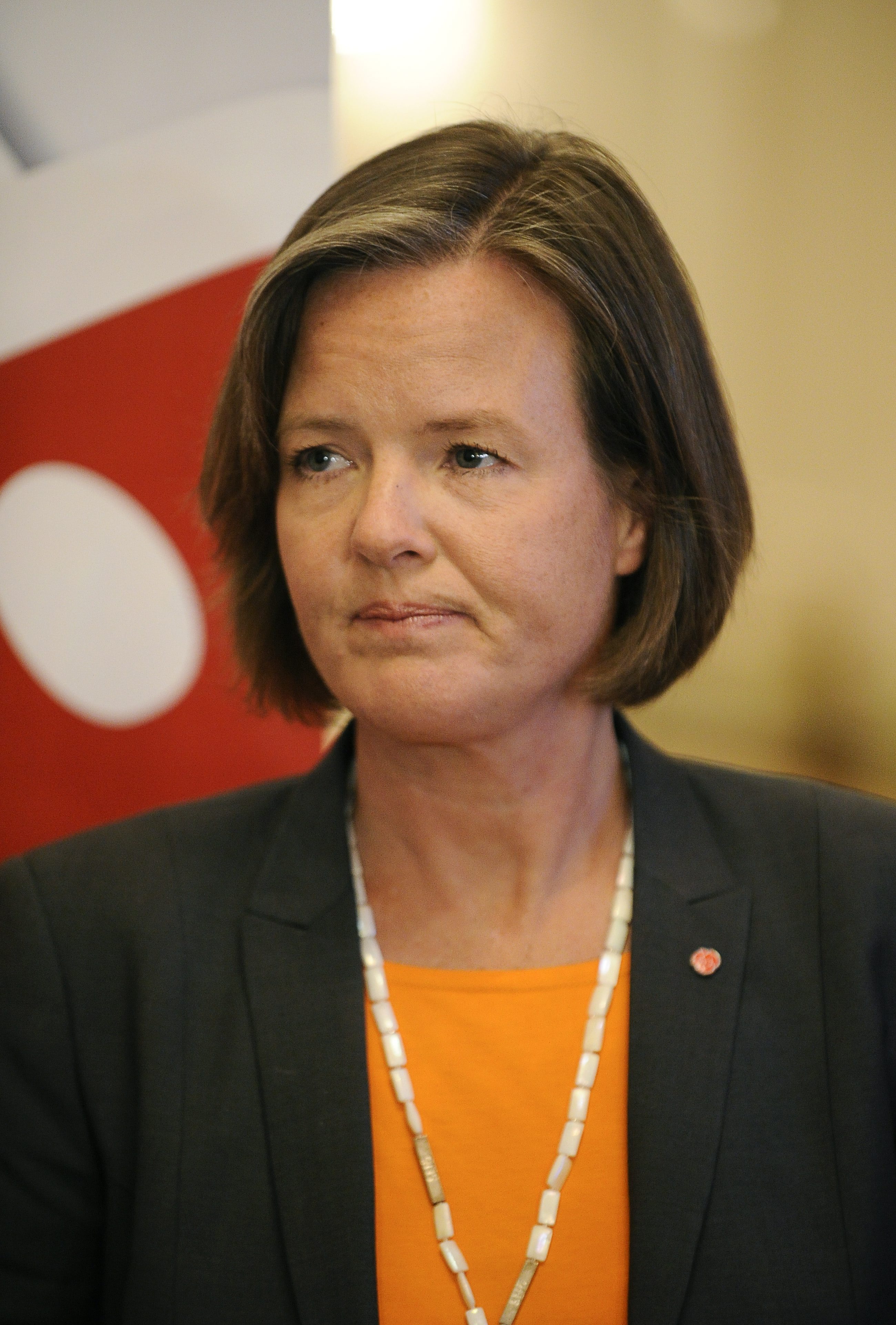 Carin Jämtin, S-kongress, Socialdemokraterna, Vinster i välfärden