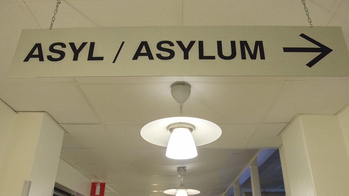 Under förra året tog Sverige emot 80 000 asylansökningar. 