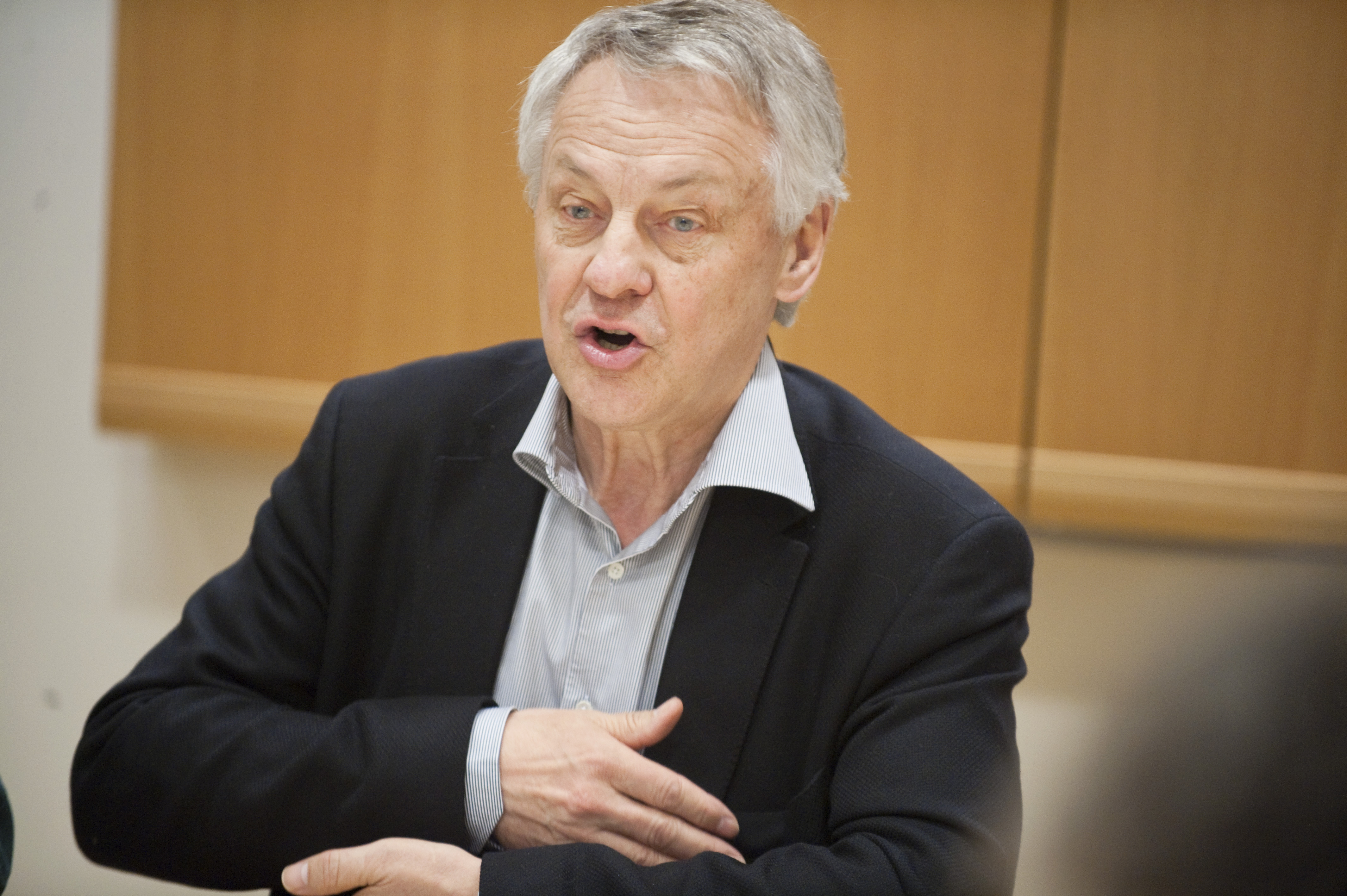 Stefan Fölster, Riksdagsvalet 2010, Statsbudget, Budget, Sverigedemokraterna, Jimmie Åkesson, Ekonomi, Tillväxt