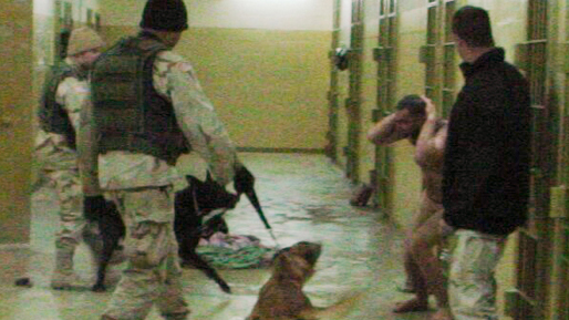 Amerikanska soldater och deras hundar attackerar en fånge på Abu Ghraib fängelset i Baghdad.