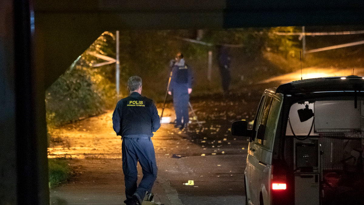 19-åringen sköts till döds i stadsdelen Närlunda i Helsingborg en kväll i oktober förra året. Arkivbild.