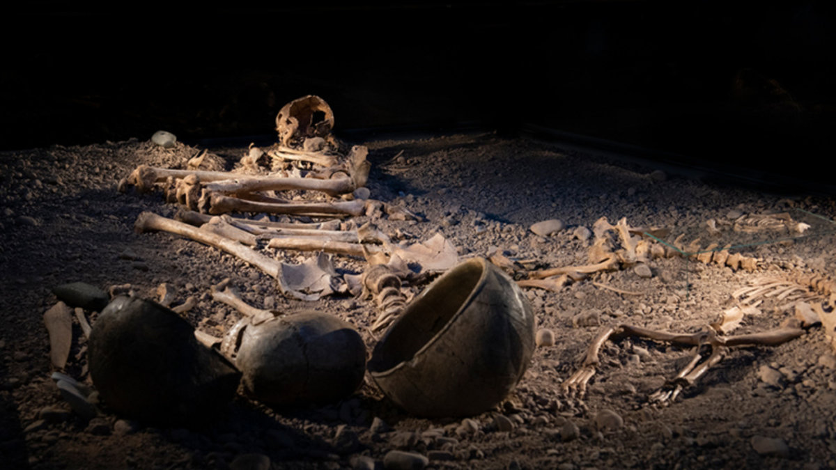 4 500 år gamla skelett i Bergsgraven utanför Linköping.