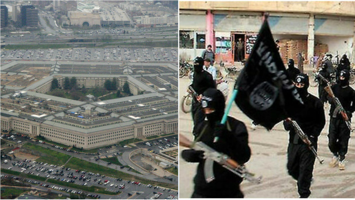 Pentagon uppger att två IS-svenskar dödats i flyganfall.