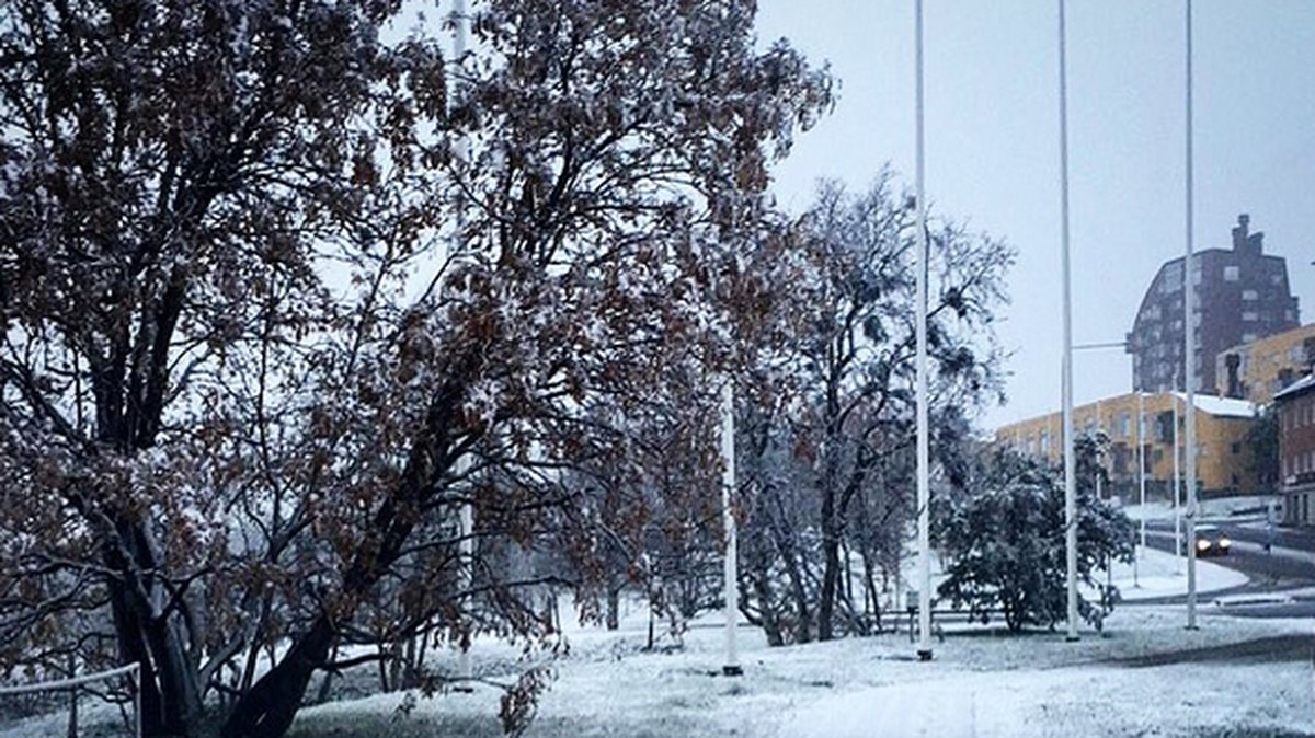 Snö har redan fallit i Sverige, bland annat i Kiruna.