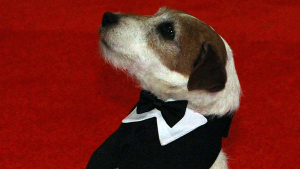 Uggie är en tränad Jack Russel-hund som hade en roll i filmen The Artist som vann fem priset under årets Oscarsgala. En PR-kampanj försökte få uggie nominerad för sin roll, men han fick nöja sig med att vara röda mattans sötaste stjärna. 