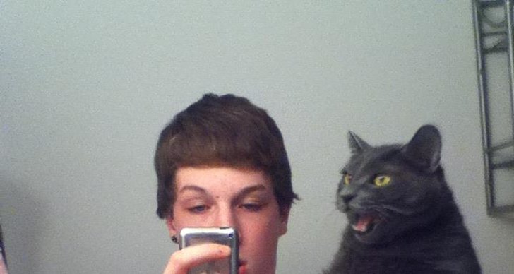 Cat, Selfie