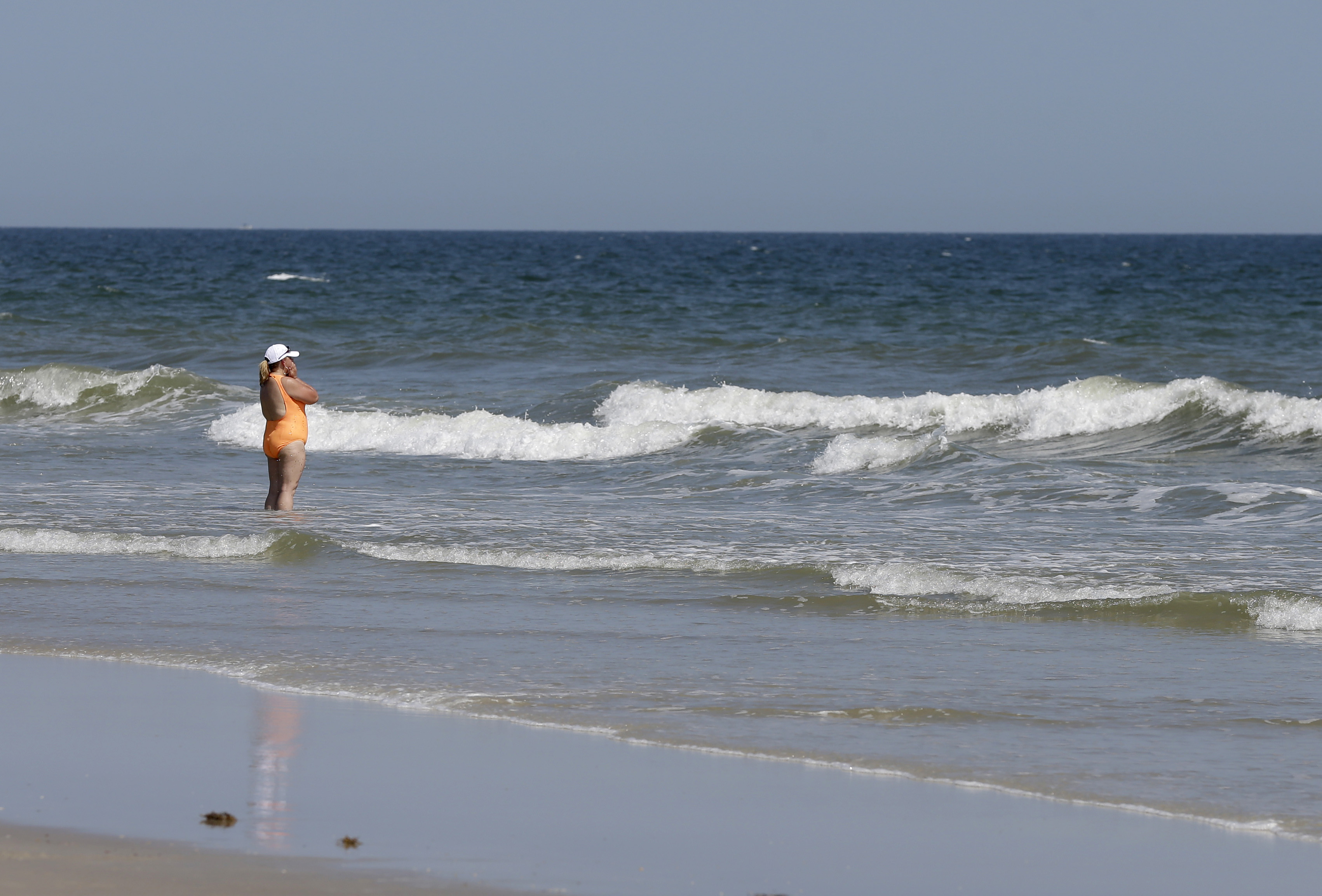 Vid stranden i North Carolina har sju attacker skett i år.