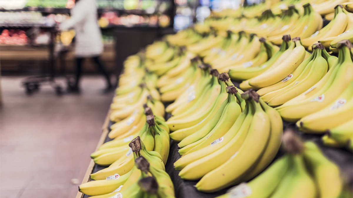 Bananer riskerar att utrotas