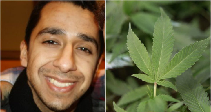 Nohan Zainudini, Legalisering, Debatt, Cannabis