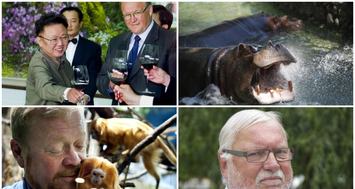 Kim Jong Il, Nordkorea, Leif Mannerström, Spindlar, Jonas Wahlström, Ormar, flodhäst
