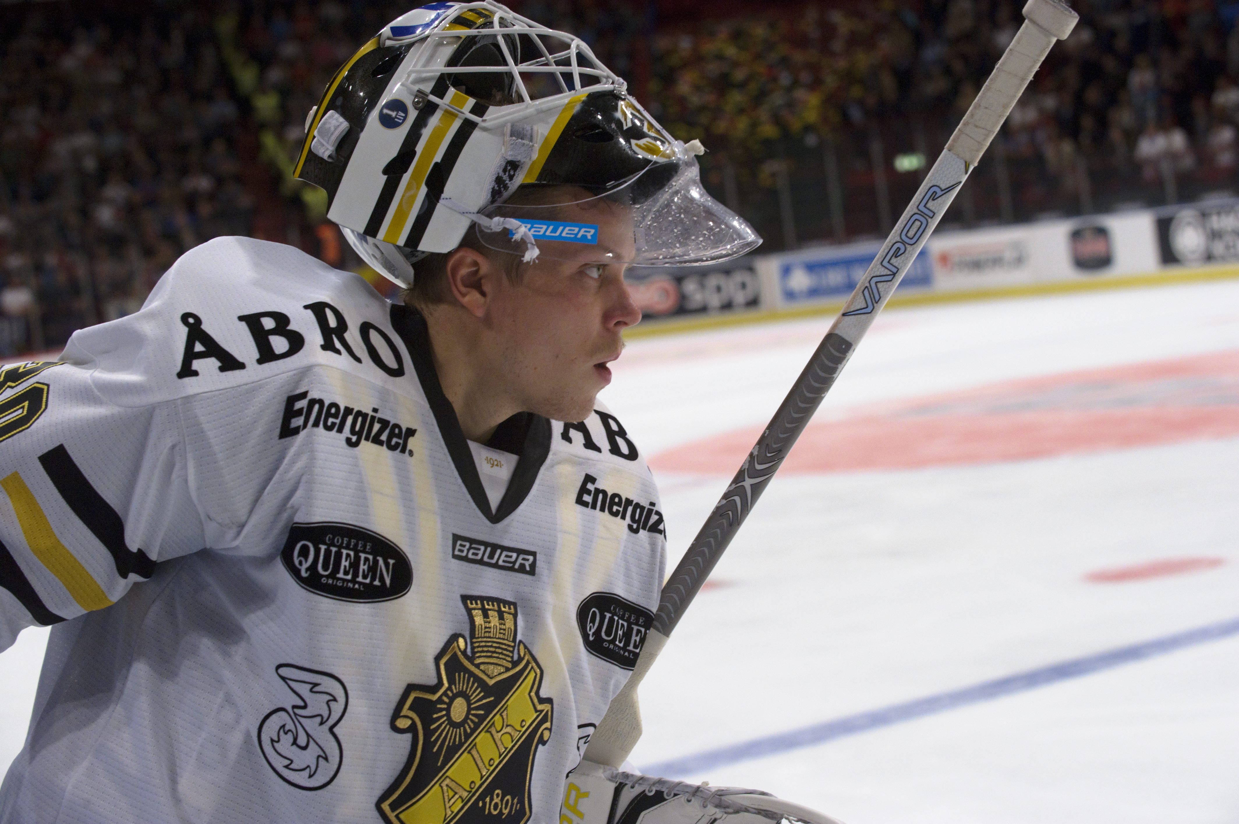 Viktor Fasth, AIK, elitserien, Djurgården IF, ishockey