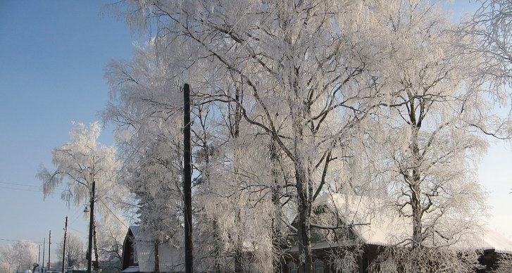 Vinter, Jul, Julstämning, Snö, Mysigt, Bild