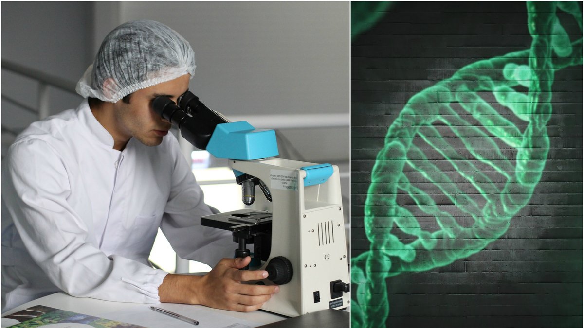 Forskare som arbetar och DNA