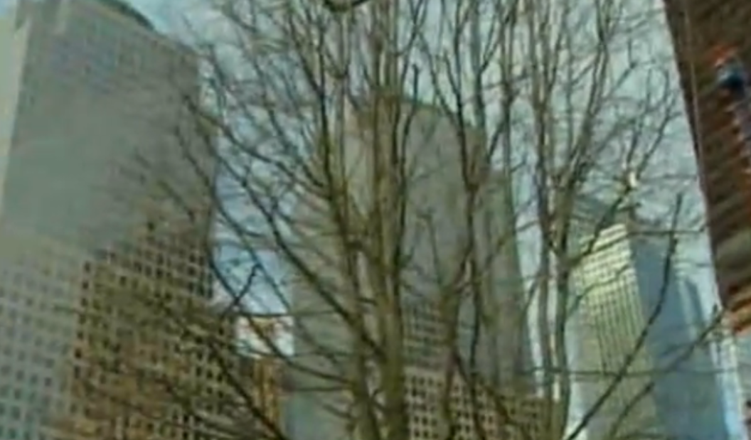 Terror, World Trade Center, New York, 11September