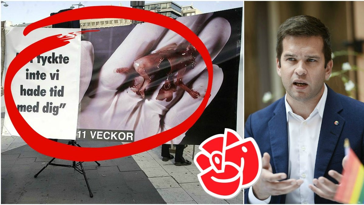 Sjukvårdsministern Gabriel Wikström: "Den svenska aborträtten är stark."