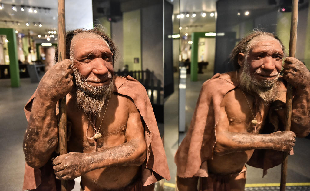 Har du en speciell genvariant från neandertalare kan din medicin behöva skräddarsys. Bild från en neandertalarutställning i Tyskland 2019. Arkivbild.