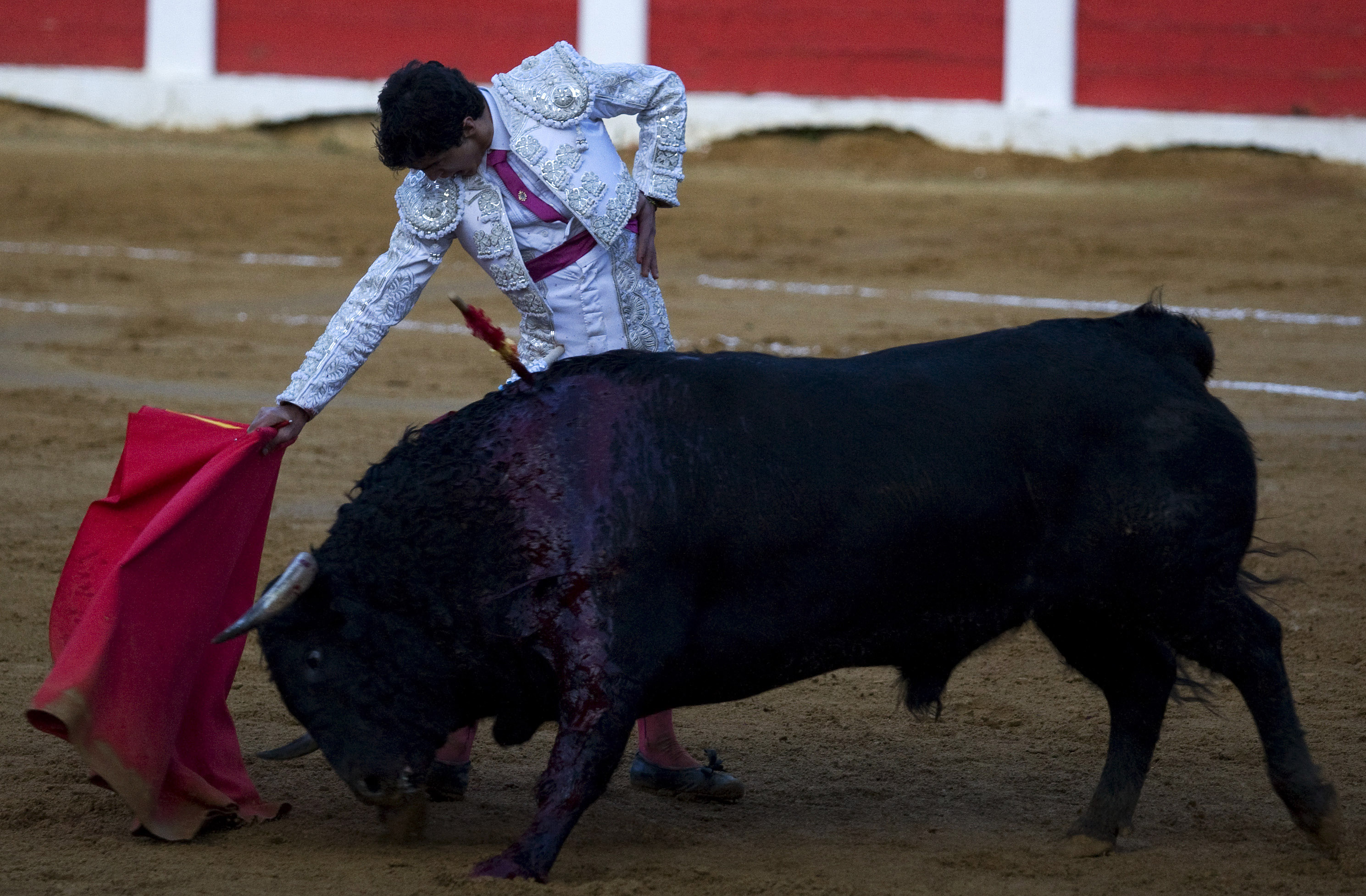 Ingen mer tjurfäktning i Katalonien. 