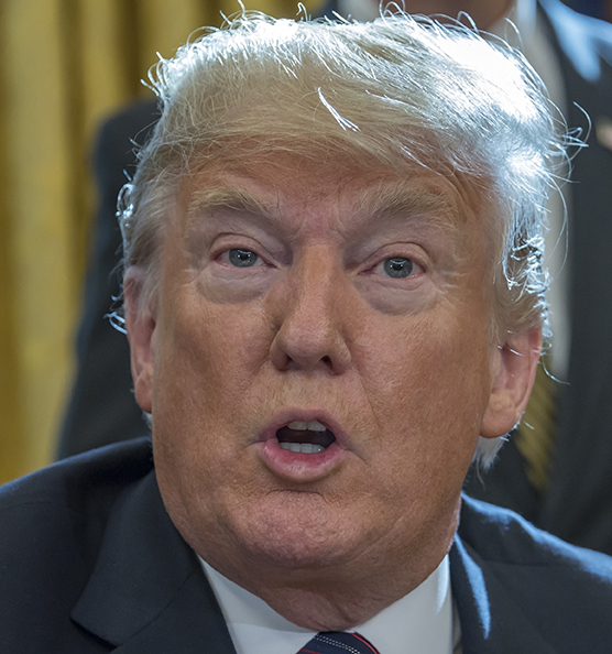 Donald Trump Donald Trump