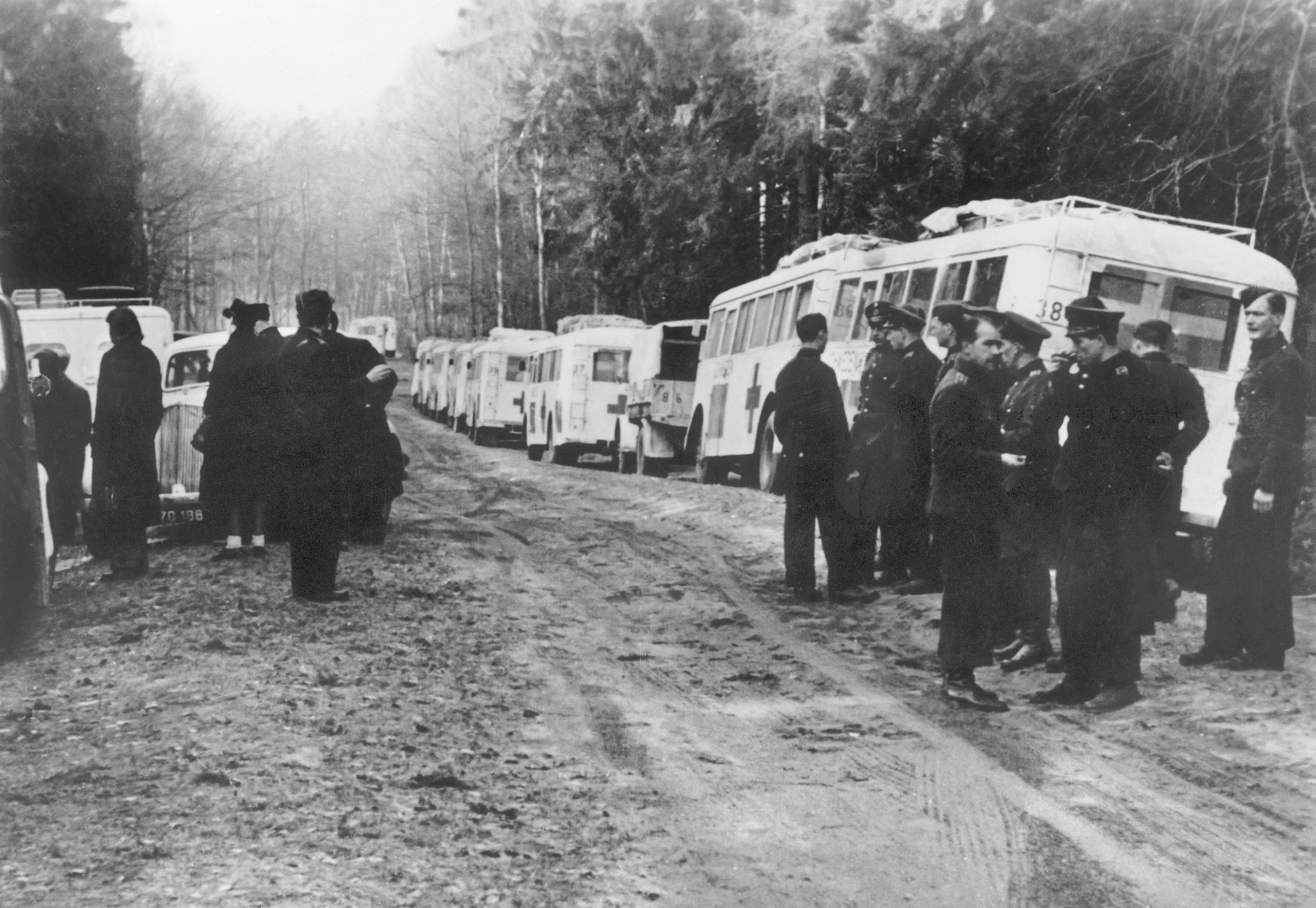 1945: De vita bussarna