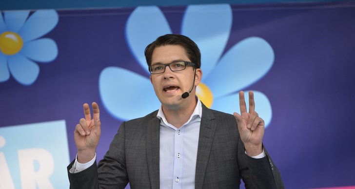 Sverigedemokraterna, Riksdagsvalet 2014, Supervalåret 2014