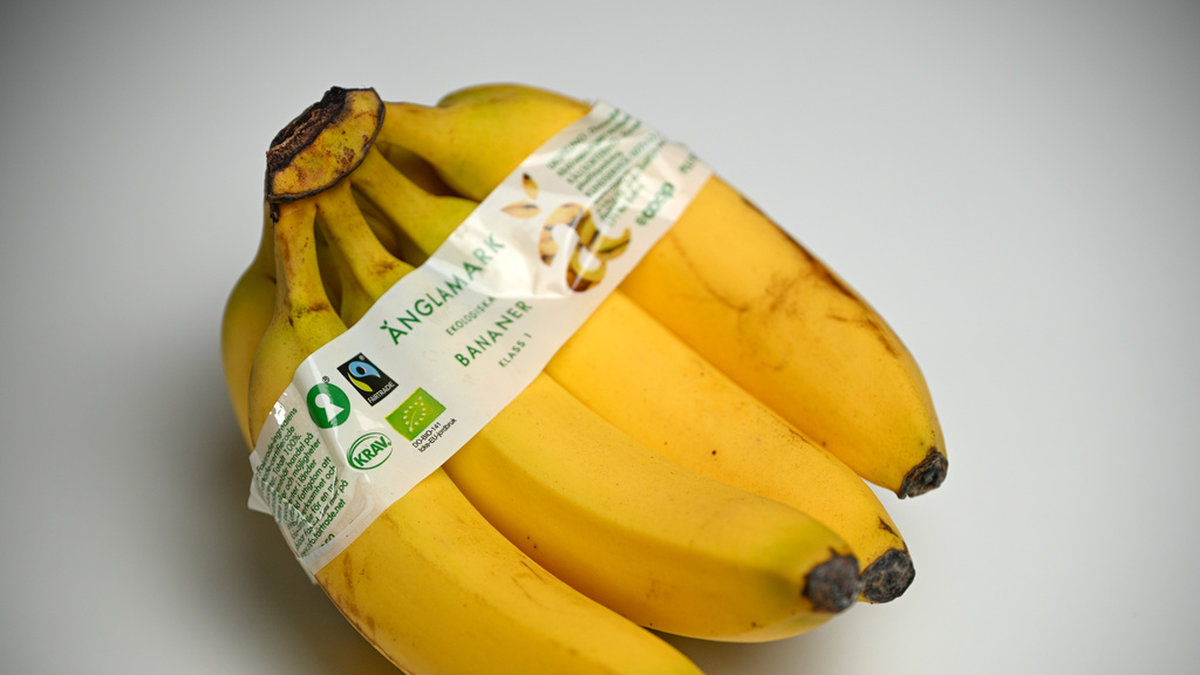 Fairtrade-märkta bananer tappade mest i försäljning i kategorin under 2022. Arkivbild.