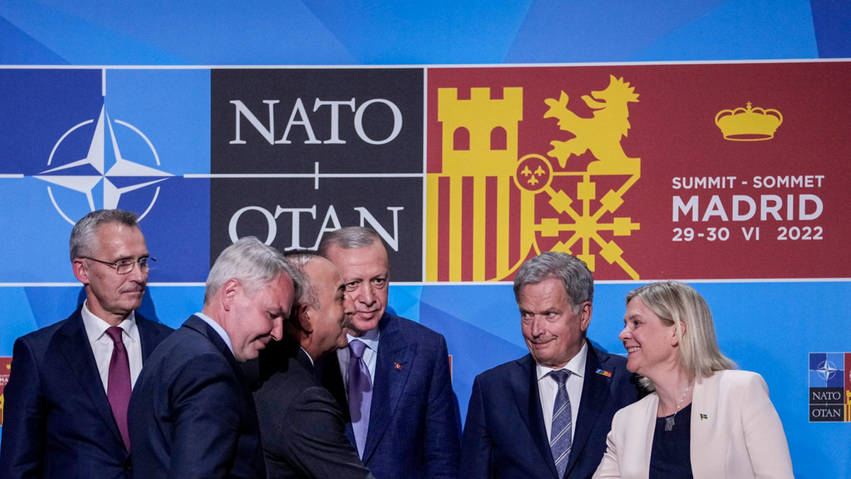 Sverige har nu fått så kallad 'invitee'-status i Nato – men för ett fullständigt medlemskap måste alla länders parlament ratificera alla ansökningar.
