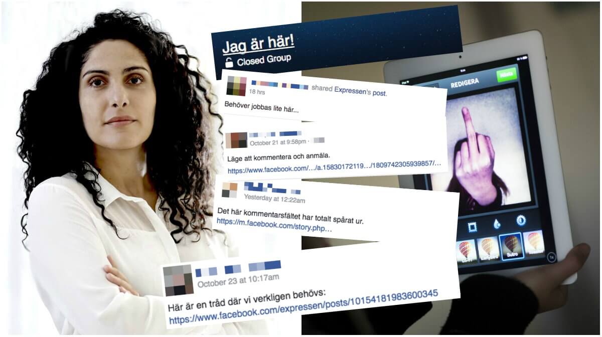 Mina Dennert, Facebook, No Hate Speech Movement, Näthat