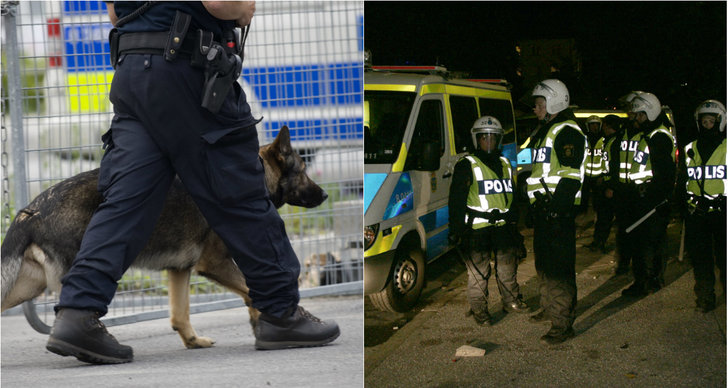 Hund, Superettan, Spark, Hammarby IF, Fotboll, Supporter, Assyriska, Polisen