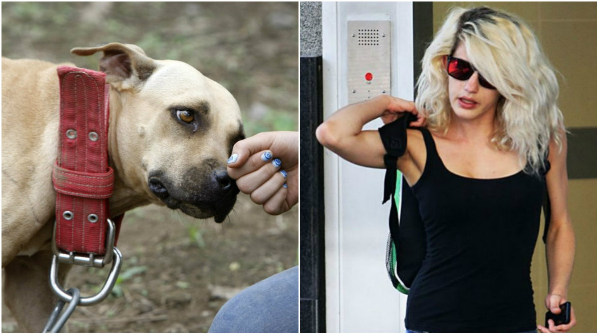 Jenna Louise Driscoll, 27, har erkänt sig skyldig till tidelag med en pitbull. (Bilden på hunden är en genrebild)